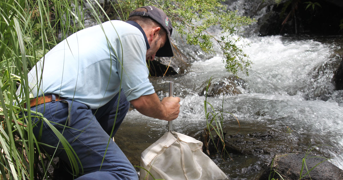 Ian Wright sampling the Wollangambe River in 2014