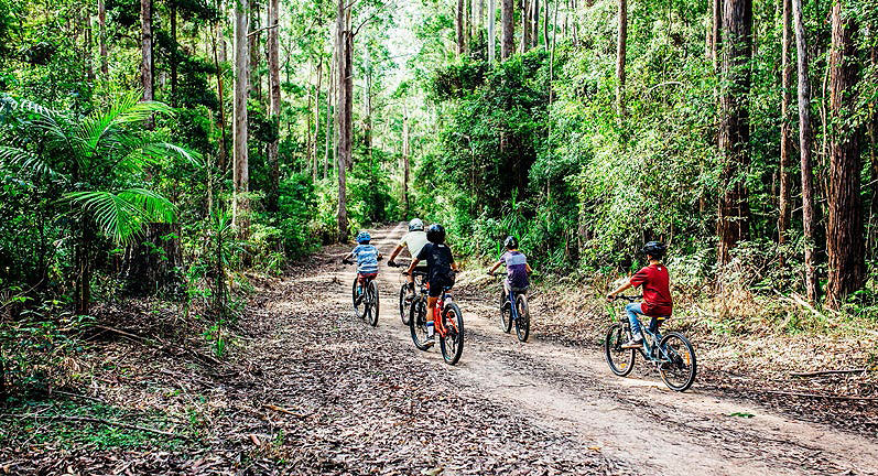 NPWS Cycling Strategy