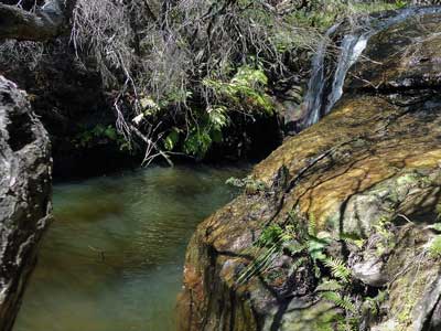 Katoomba Creek