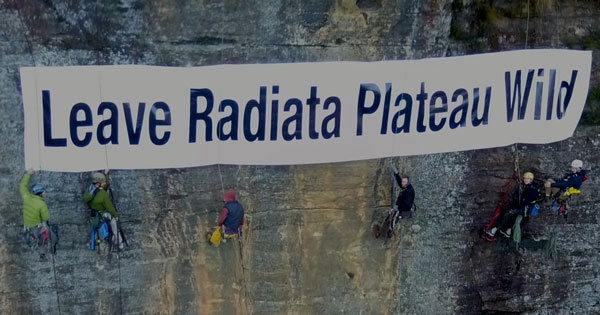 Radiata Plateau rally