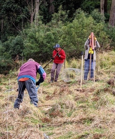 Green Gully tree planting 20 Aug 2022