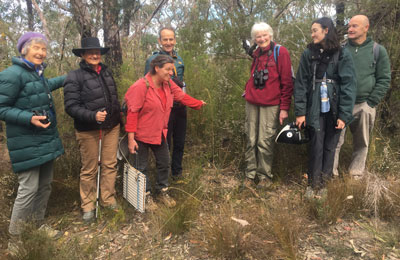 Plant Study Group on a field trip on Crown Land at Chapman Parade, 14 August 2022.
   Alison is pointing to a threatened species, Leucopogon fletcherii