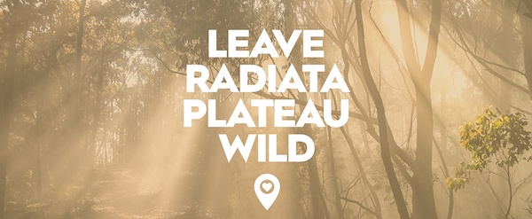 Leave Radiata Plateau wild