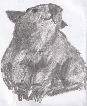 A Wombat